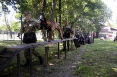 Training course in explosive ordnance detection