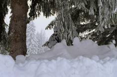 SAF scouts conduct tactical cold weather training