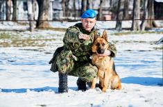 Обука водича и службених паса у функцији заштите војне имовине