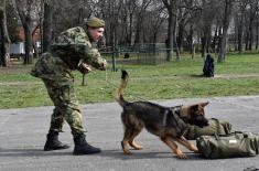 Обука паса за службу у јединицама Војске Србије