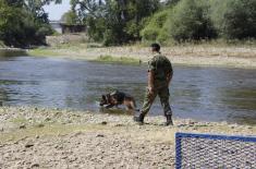 Обука водича и службених паса у јединицама војне полиције
