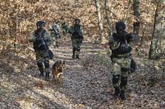 Specialist training in military police units