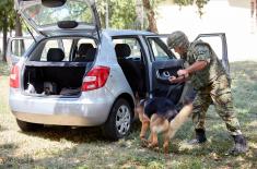 Military Police training in Army units