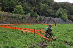 Demining and unexploded ordnance disposal training