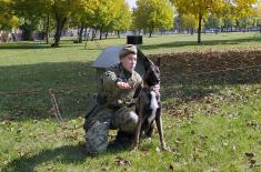 Training for dog handlers and working dogs 