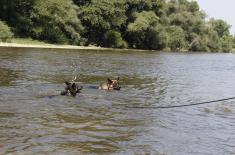 Обука водича и службених паса у јединицама војне полиције