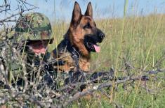 Regular Training in Serbian Armed Forces Infantry Units