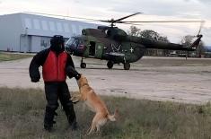 Обука за противтерористичка и противдиверзантска дејства