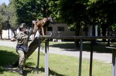 Training course in explosive ordnance detection
