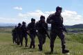 Conducting operation and practicing in Morava 2016 exercise