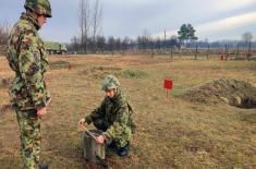 Specialist soldier training in Army Training Centre