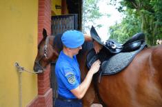 Guard Cavalry Platoon undergoes training in giving military honours