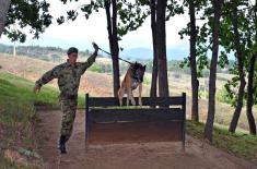 Redovna obuka snaga Vojske Srbije u Kopnenoj zoni bezbednosti