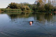 SAF units carry out training activities on the river