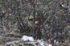 Стационарно логоровање војника на служењу војног рока