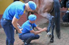 Guard Cavalry Platoon undergoes training in giving military honours