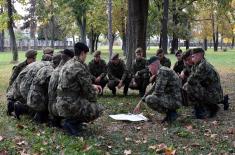Armoured and infantry units’ training