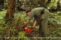 SAF helps in cleaning Serbia