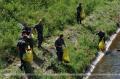 SAF helps in cleaning Serbia