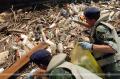 SAF helps in cleaning Serbia
