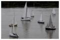 15th memorial regatta "Zoran Radosavljevic" held