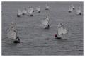 15th memorial regatta "Zoran Radosavljevic" held