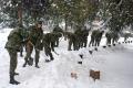 Cadets clearing snow in Clinical Center and Zemun hospital