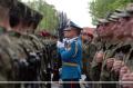 Serbian Armed Forces Day marked in Leskovac