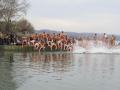 Swimming for Holy Cross