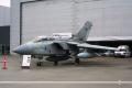 SAF at airshow in Denmark