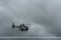 SAF at airshow in Denmark