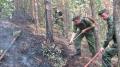 Army helps in extinguishing fires
