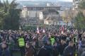 Centenary of the Battle of Kolubara marked