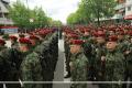 Serbian Armed Forces Day marked in Leskovac