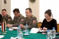 Eight session of the Mixed Serbian-Egyptian Military Committee