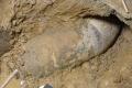 Unexploded bomb from WWII wil be deactivated in Nikinci