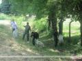 SAF helps in cleaning Serbia