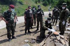 Minister Vulin at the Zavojsko Lake: After 30 years, the 63rd Parachute Brigade performed water jumps