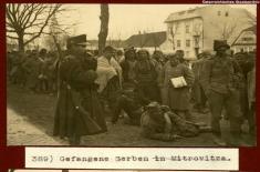 Страдање Срба у Аустроугарској монархији током Великог рата