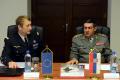 Meeting between Generals Dikovic and De Rousier