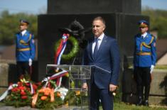 Minister Stefanović lays wreath at Monument to Pilots - Defenders of Belgrade