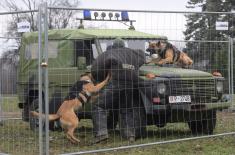 Дан 72. бригаде за специјалне операције