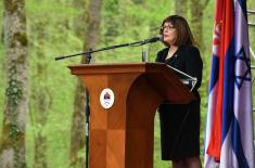 Minister Vulin: Nobody cares for peace as much as Serbia does