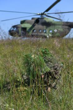 Inspection of Permanently Engaged Forces and Rapid Reaction Forces