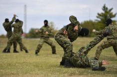 Day of the Special Brigade marked