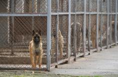 Minister Stefanović visits Dog Training Centre