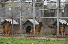 Minister Stefanović visits Dog Training Centre