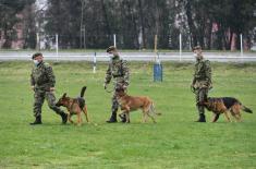 Minister Stefanović visits Dog Training Centre