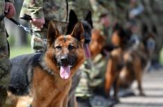 Minister Stefanović visits Dog Training Centre