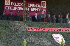 Day of the Special Brigade marked